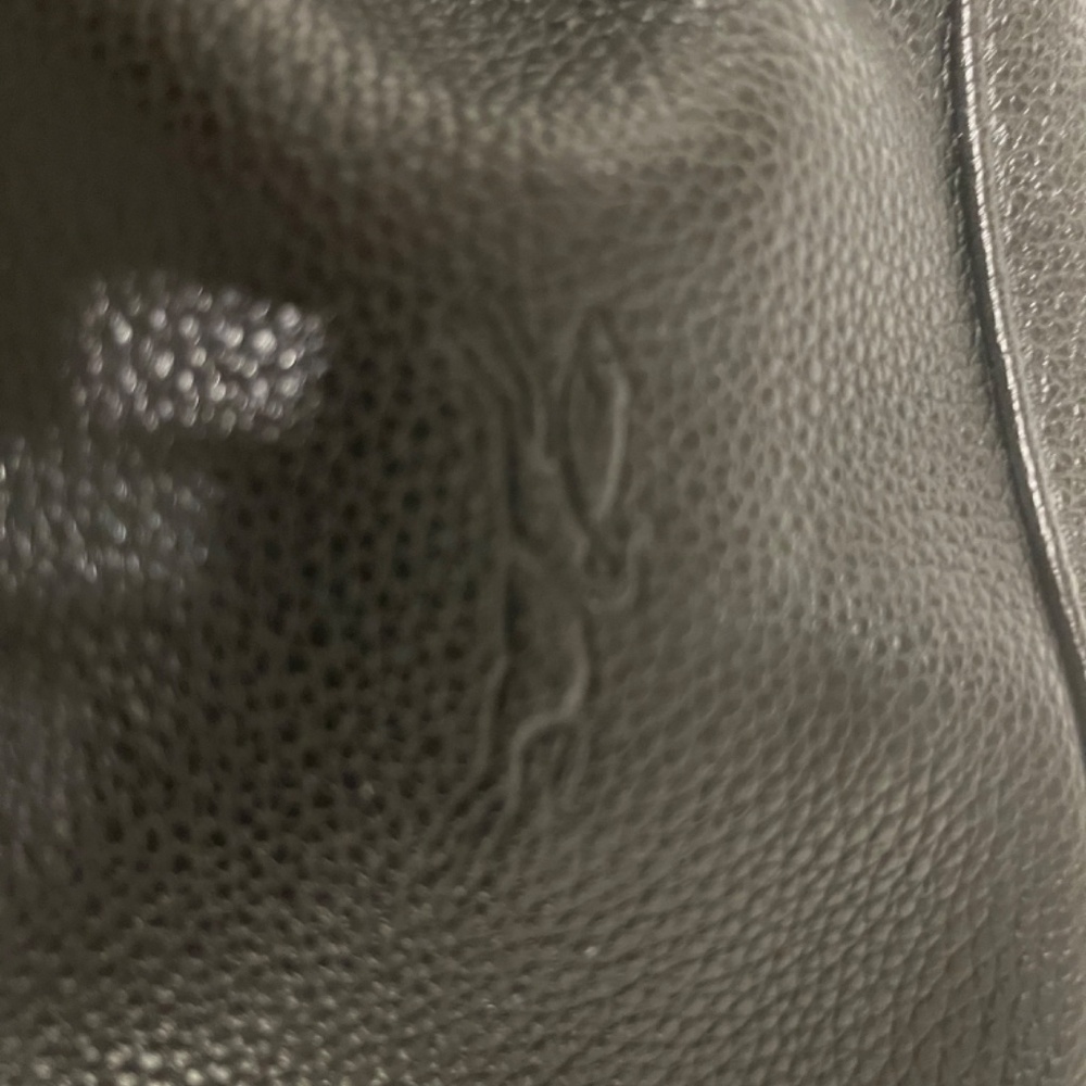 Longchamp camera bag - Picture 12 of 12